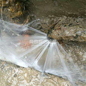 定州消防管道漏水检测